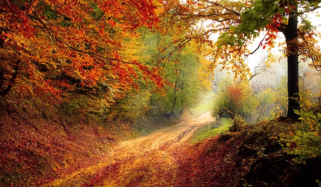 Road 1072823 640 %281%29